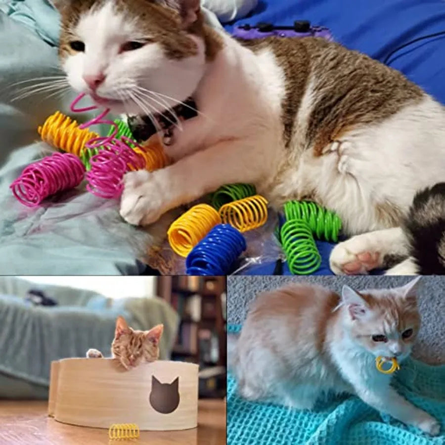 Heavy Gauge Durable Cat Spring Coils And Interactive Toys
