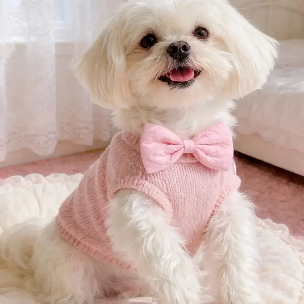 Quilted Pet Bow Tie Set for Dogs Cats Parties Photos
