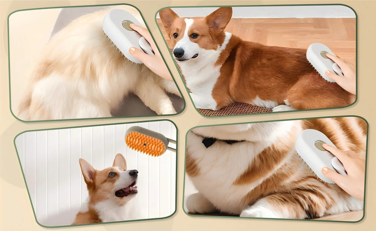 Pet Grooming Brush With Water Spray For Dogs And Cats