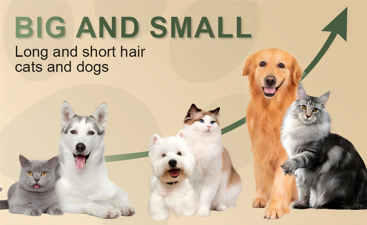Pet Grooming Brush With Water Spray For Dogs And Cats