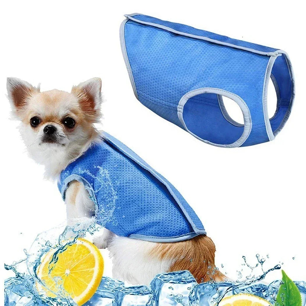 Dog Summer Cooling Vest For Heat Relief And Outdoor Comfort