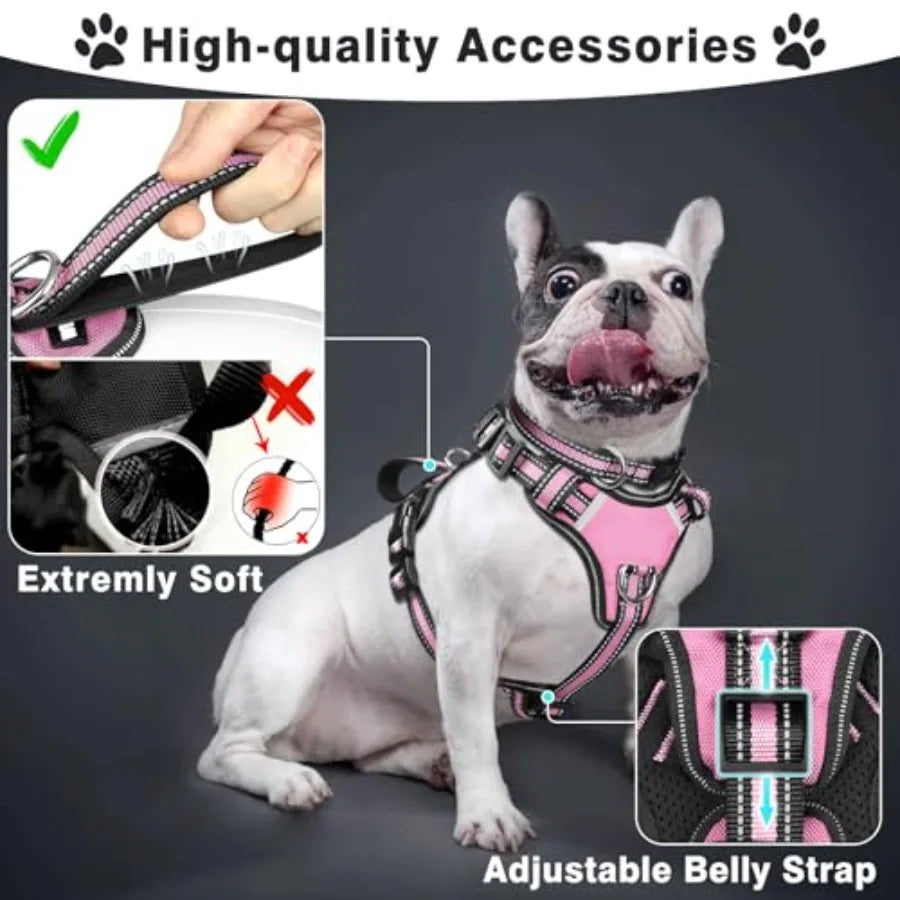 Reflective Nylon Harness Collar And Leash Set For Small Dogs