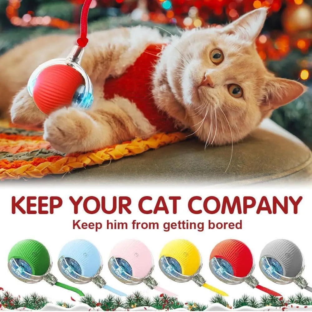 Interactive Cat Toy Rolling Ball for Indoor Cats Kitten Toys