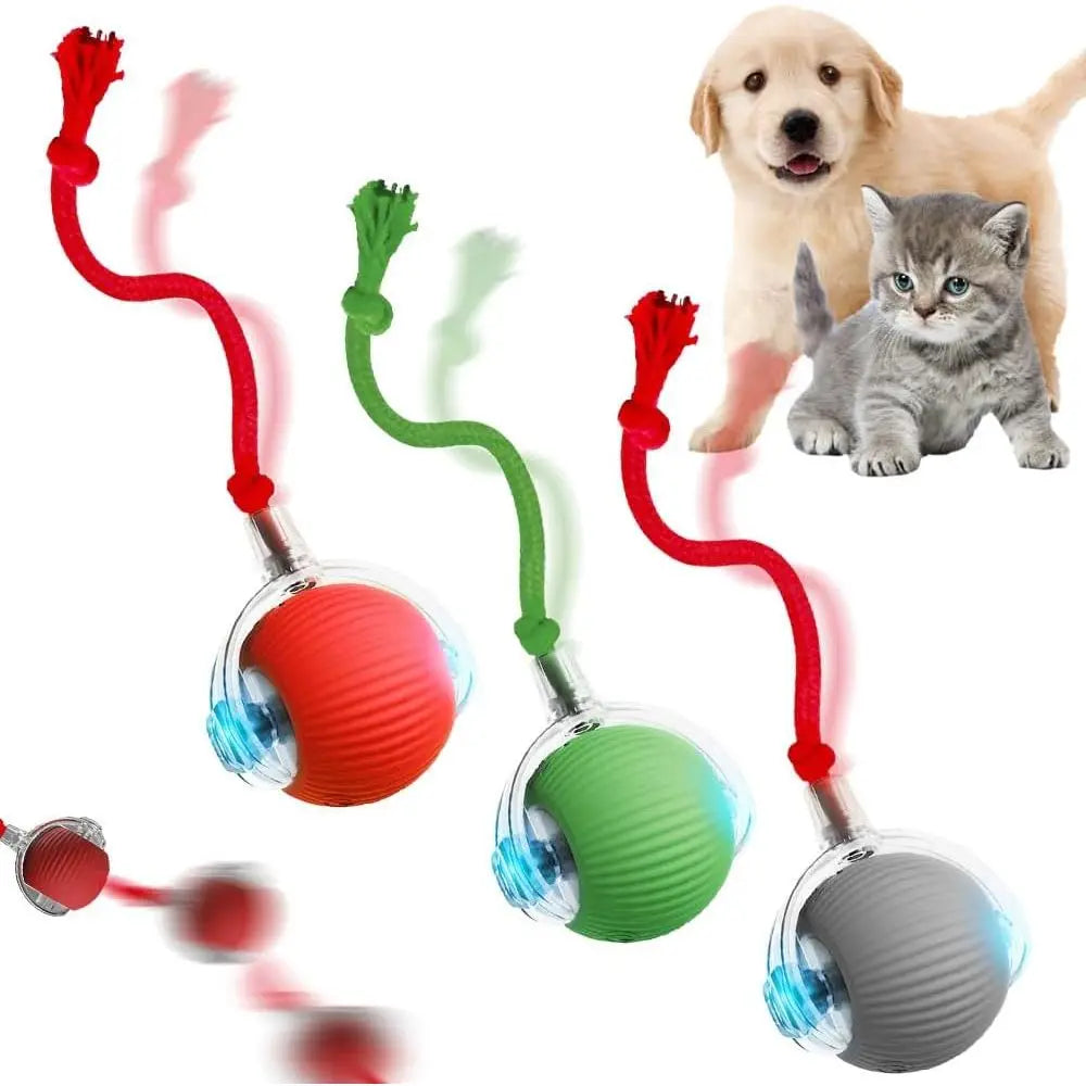 Interactive Cat Toy Rolling Ball for Indoor Cats Kitten Toys