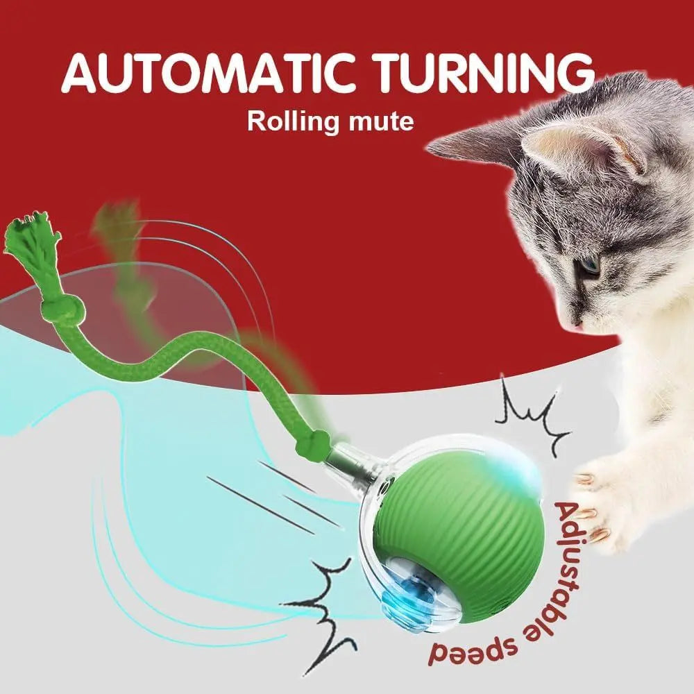 Interactive Cat Toy Rolling Ball for Indoor Cats Kitten Toys