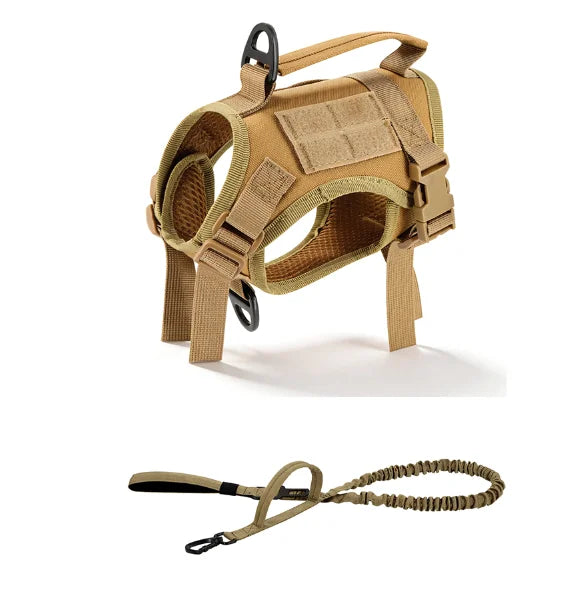 PETRAVEL Adjustable Cat Harness And Leash Set For Outdoor Walking