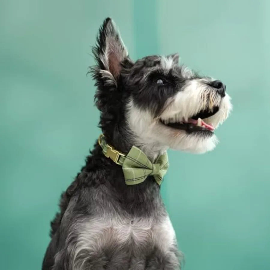 Dog Harness and Leash Set With Bowtie Soft Adjustable Plaid Polyester