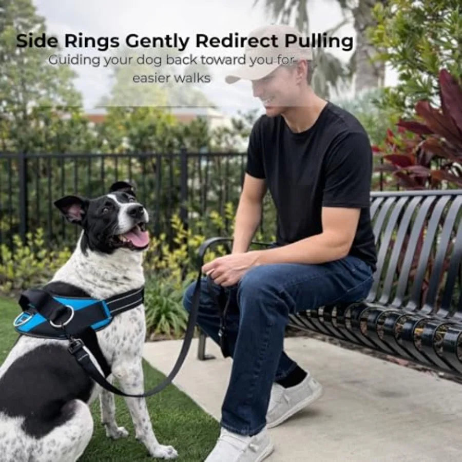 Essential Dog Harness No Pull Vest With Leash Clips Reflective Padding