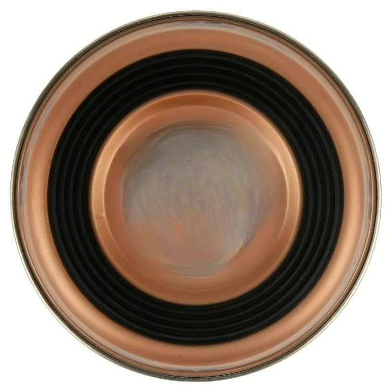 Stainless Steel Slow Feeder Dog Bowl Helps Prevent Gulping