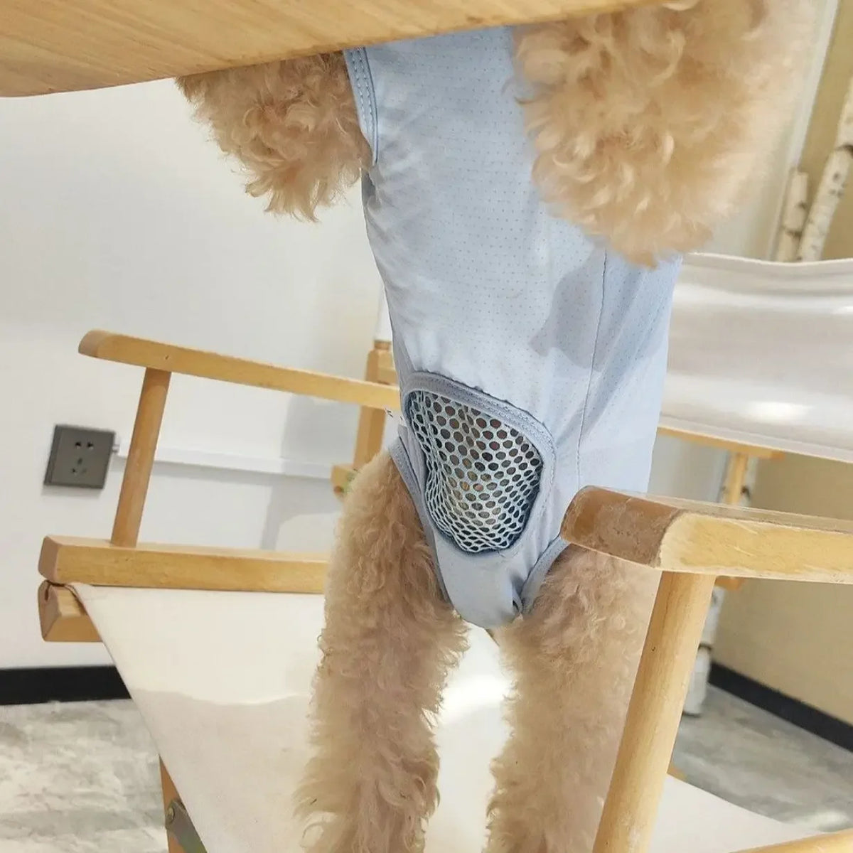 Dog and Cat Post Surgery Recovery Suit Anti Licking