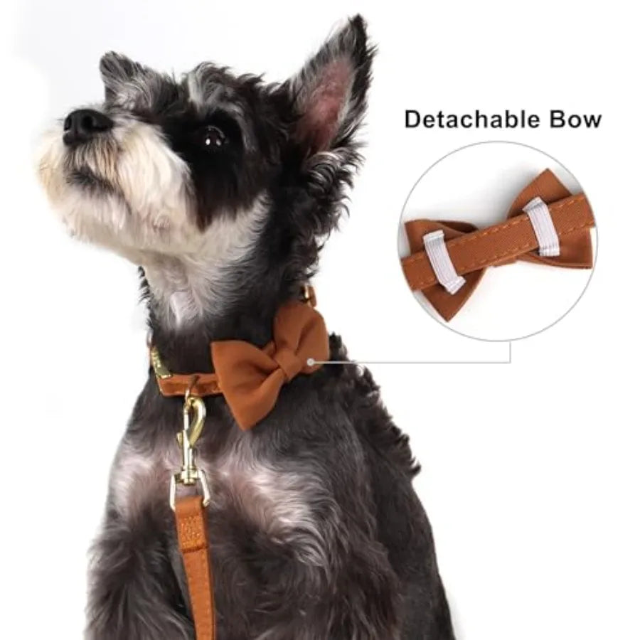 Dog Harness Leash Set Nylon Adjustable Vest For Walking