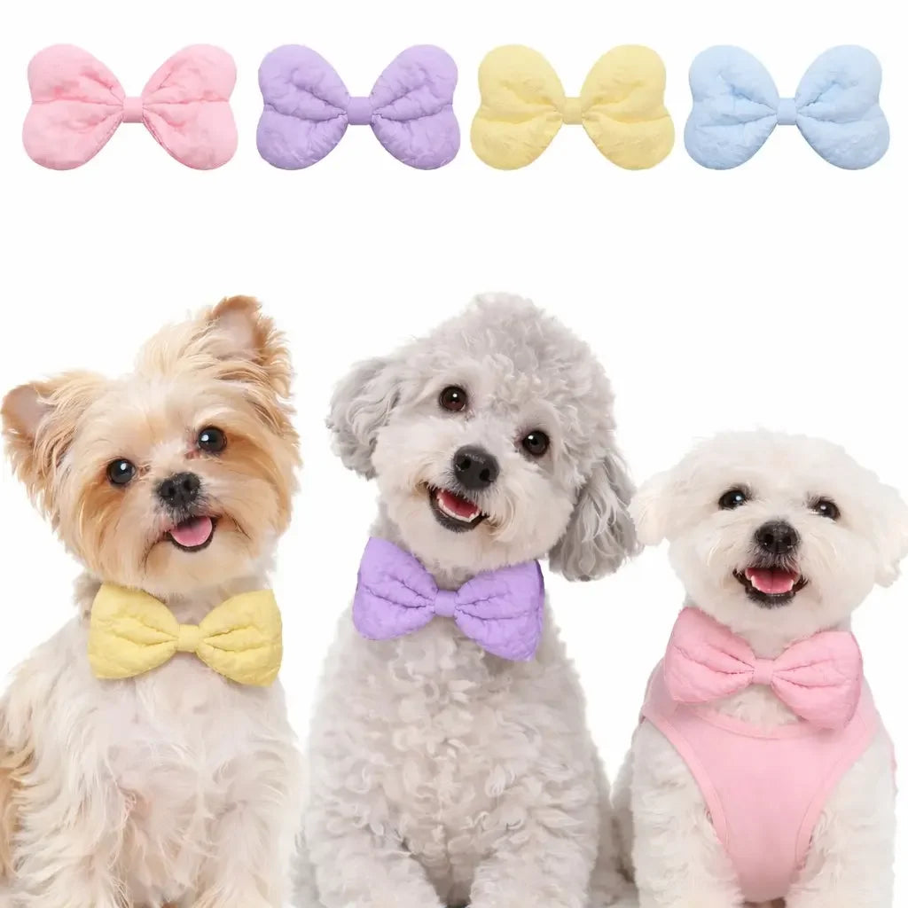 Quilted Pet Bow Tie Set for Dogs Cats Parties Photos
