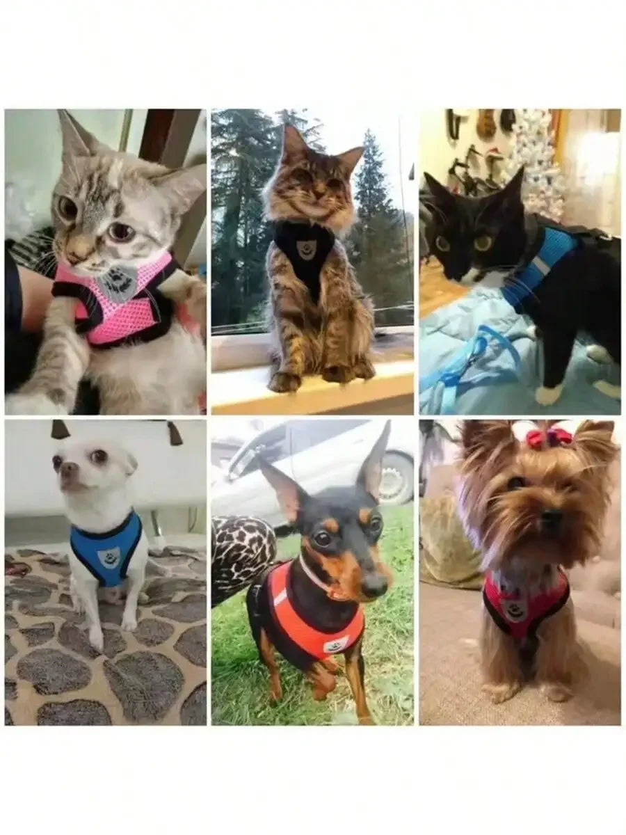 Pet Chest Strap Harness & Leash Set, Dog Cat Mesh Breathable Vest Type Anti-Slip Walking Lead Rope Outdoor Travel With Foldable Feeding Bowl Combo