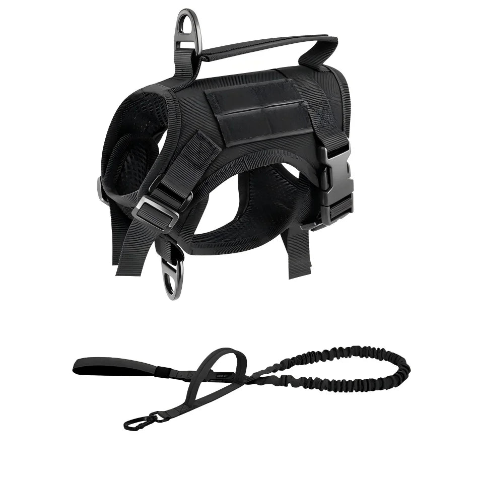PETRAVEL Adjustable Cat Harness And Leash Set For Outdoor Walking