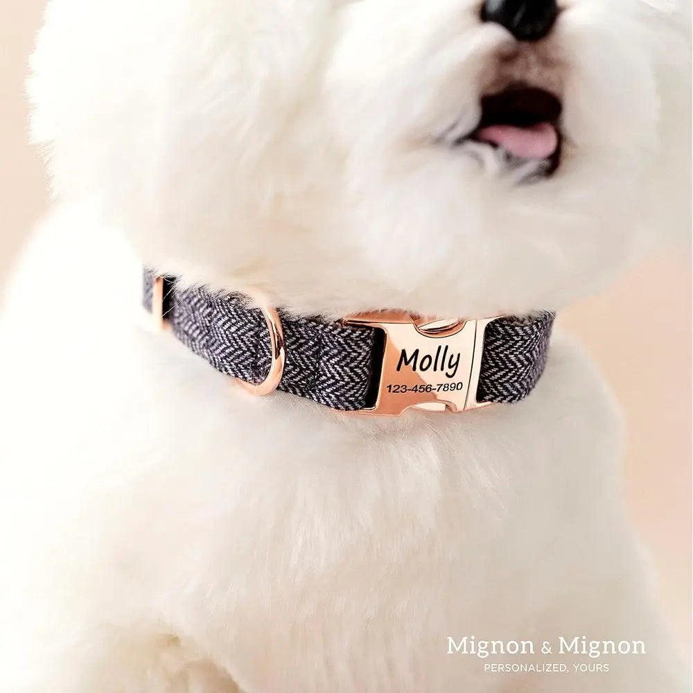 Personalized Dog Collar With Engraved Name And Contact Info Adjustable Cotton