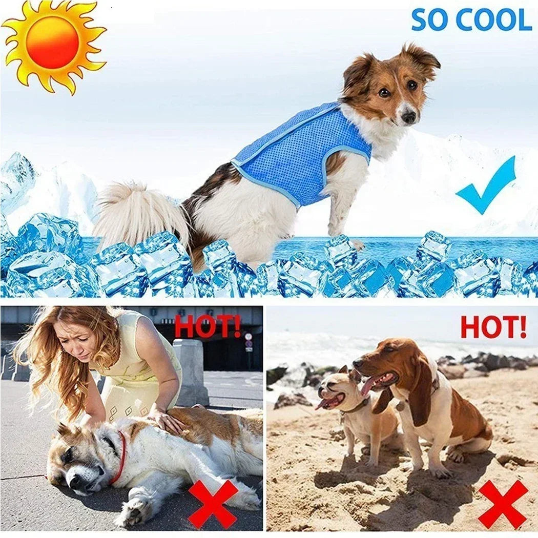 Dog Summer Cooling Vest For Heat Relief And Outdoor Comfort