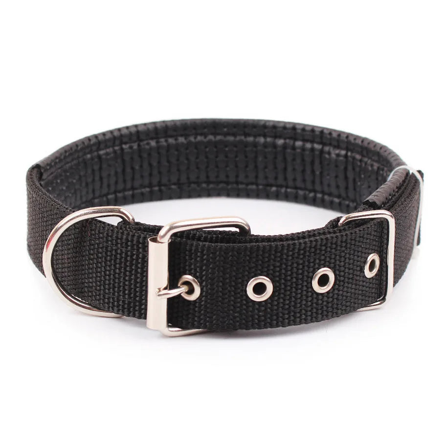 Durable Nylon Dog Collar With Breakaway Safety Feature