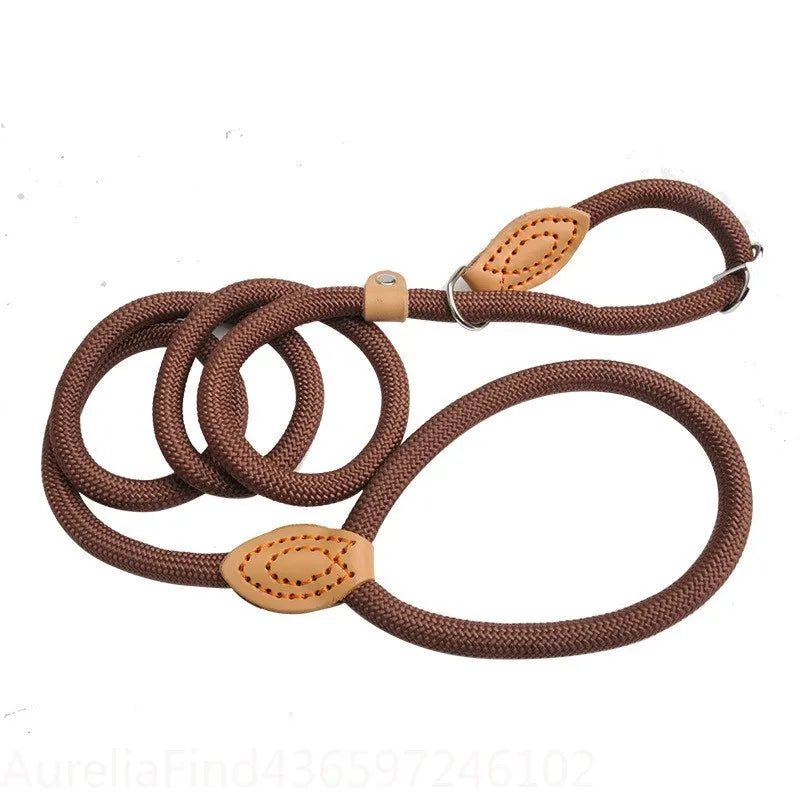 Adjustable Braided Rope Dog Leash For Walking And Training