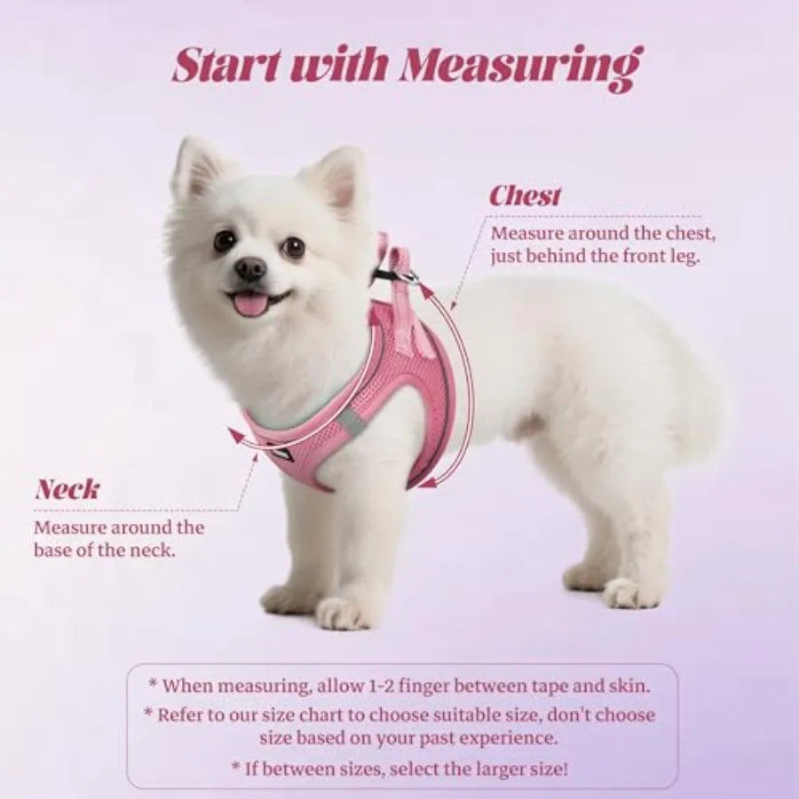 Dog Harness and Leash Set Reflective No Pull Adjustable