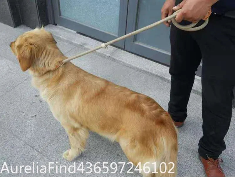 Adjustable Braided Rope Dog Leash For Walking And Training