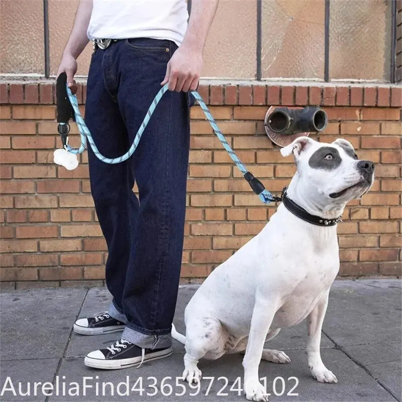 Reflective Heavy Duty Dog Leash With Padded Handle Safe Walking