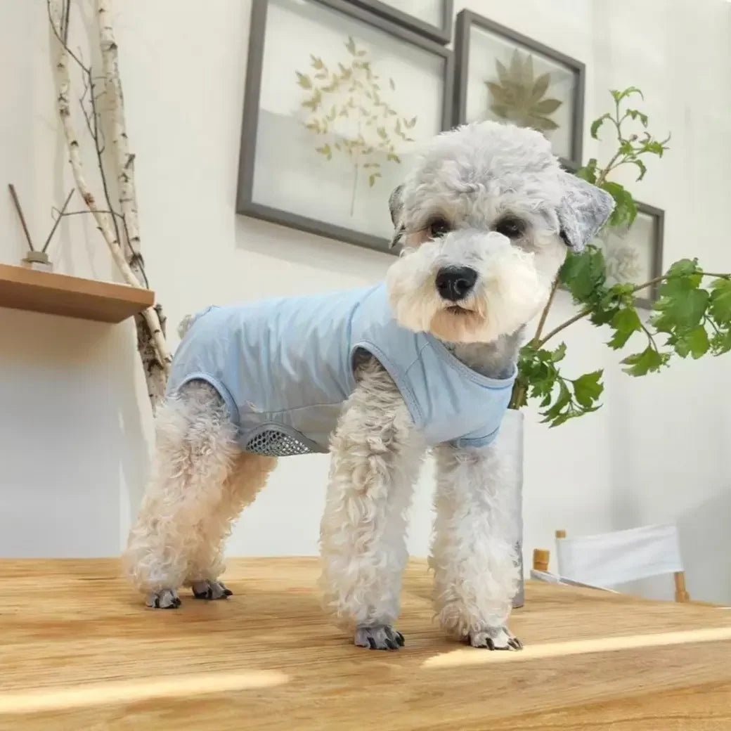 Dog and Cat Post Surgery Recovery Suit Anti Licking