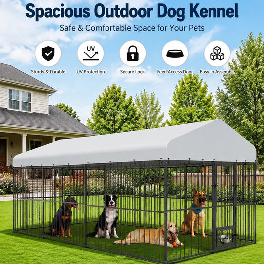 Heavy Duty Outdoor Dog Kennel With Secure Walk In Run
