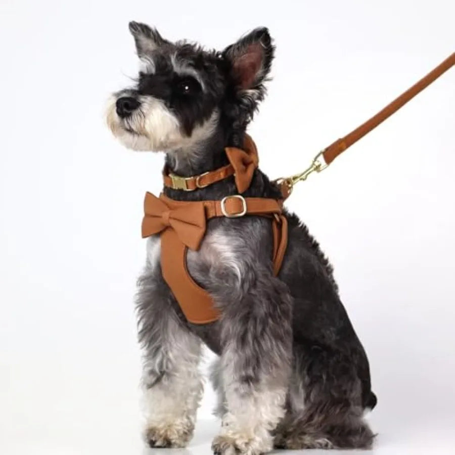 Dog Harness Leash Set Nylon Adjustable Vest For Walking