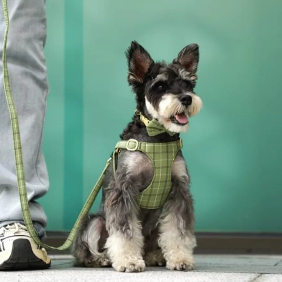 Dog Harness and Leash Set With Bowtie Soft Adjustable Plaid Polyester