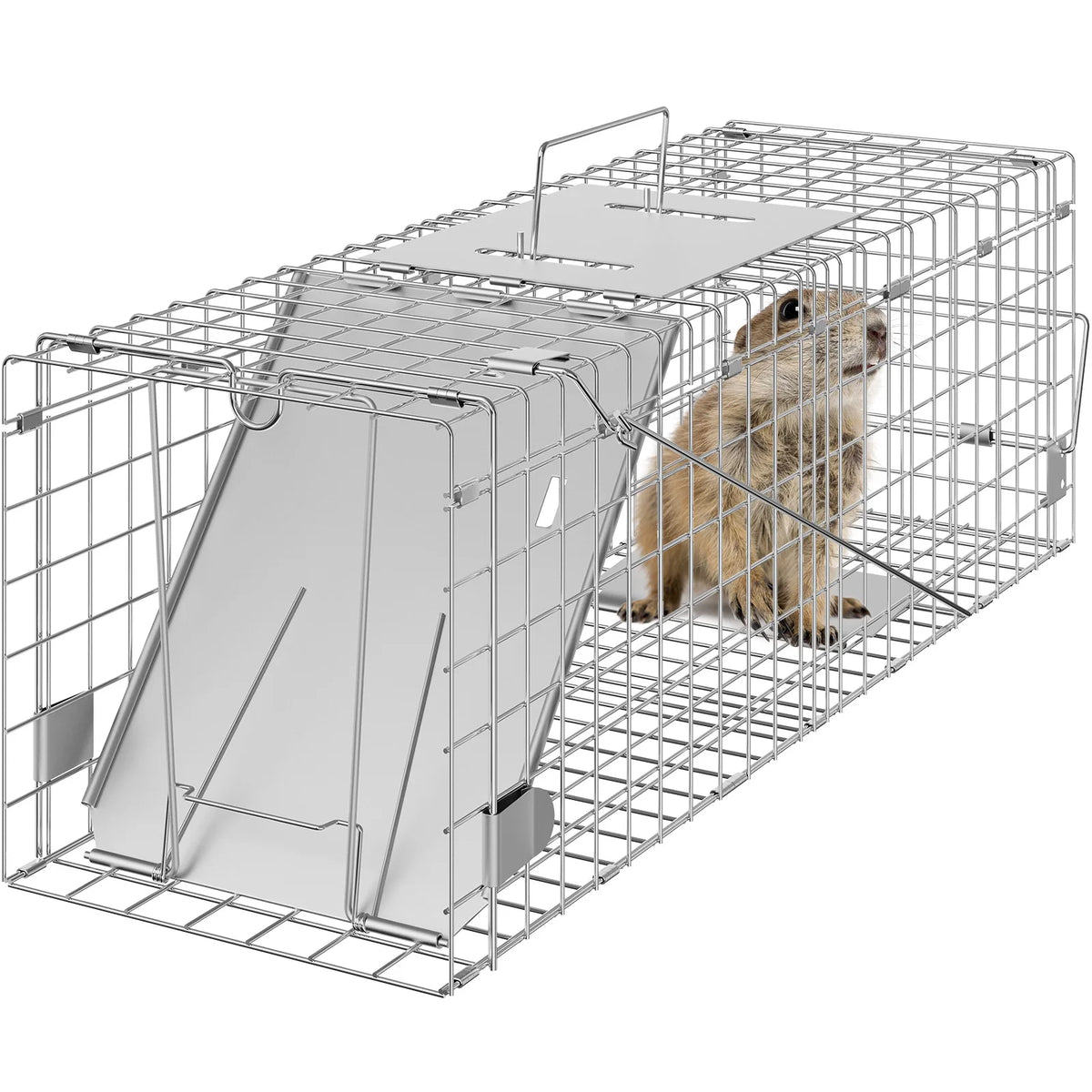 SucceBuy Humane Live Animal Trap Cage for Cats and Wildlife Control