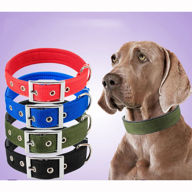 Durable Nylon Dog Collar With Breakaway Safety Feature