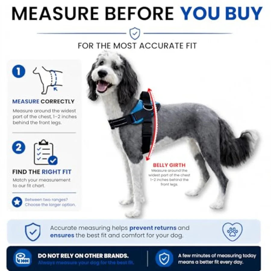 Essential Dog Harness No Pull Vest With Leash Clips Reflective Padding