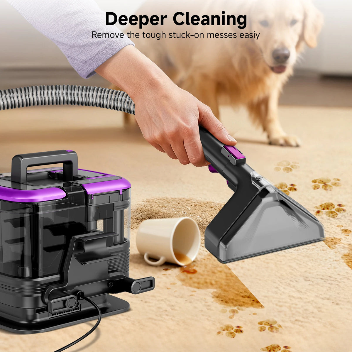 Honki Carpet Cleaner Machine With Strong Suction for Upholstery and Carpets