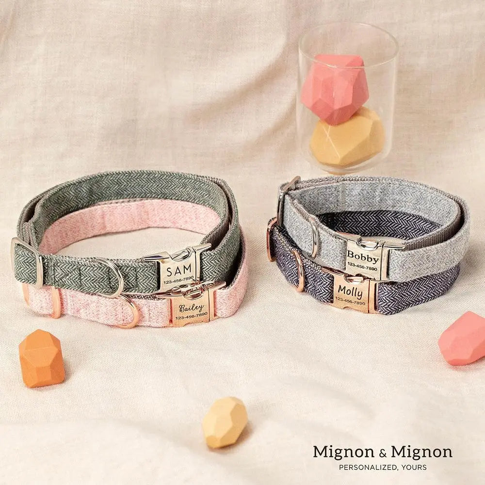 Personalized Dog Collar With Engraved Name And Contact Info Adjustable Cotton