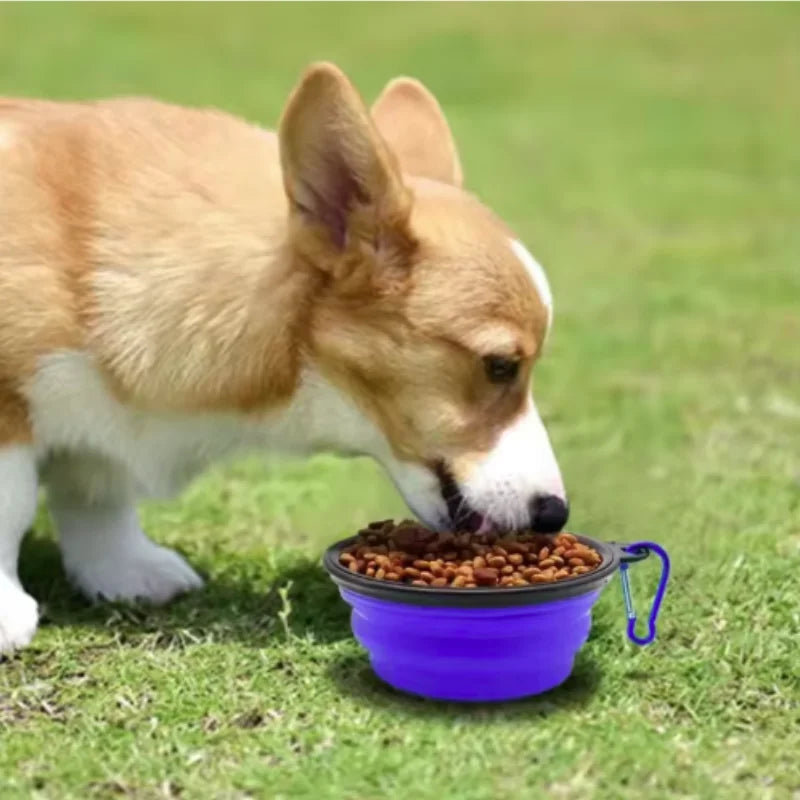 Collapsible TPR Pet Food Bowl For Dogs And Cats Travel Outdoor