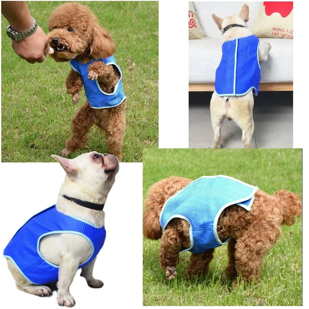Dog Summer Cooling Vest For Heat Relief And Outdoor Comfort