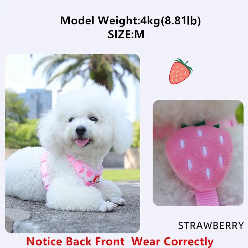 Cute Pet Harness And Leash Set For Small Dogs, Anti-Escape Cat Leash, Adjustable Cat Vest, All Seasons Suitable For Outdoor Walking