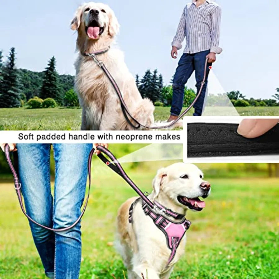 Reflective Nylon Harness Collar And Leash Set For Small Dogs