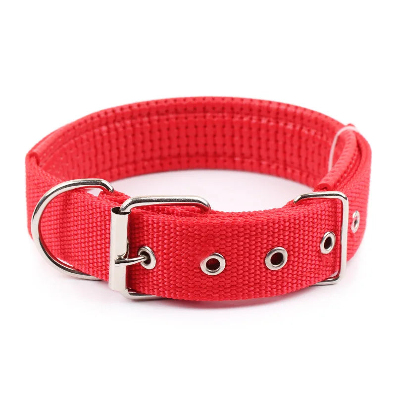 Durable Nylon Dog Collar With Breakaway Safety Feature
