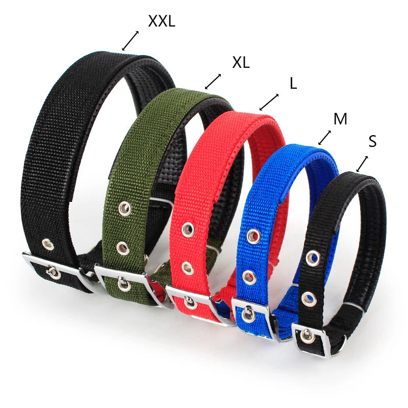 Durable Nylon Dog Collar With Breakaway Safety Feature