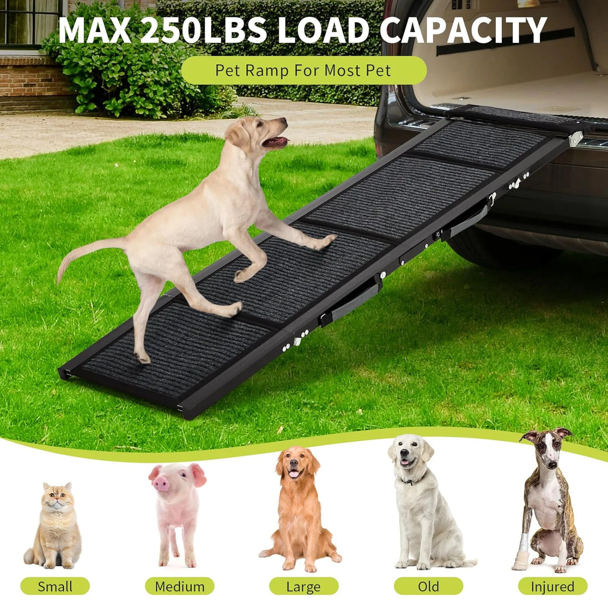 HiMISS Portable Folding Dog Car Ramp with Non Slip Surface