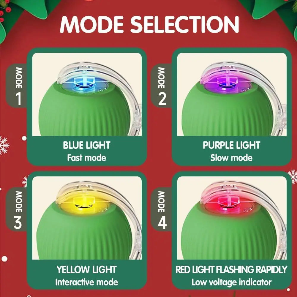 Interactive Cat Toy Rolling Ball for Indoor Cats Kitten Toys