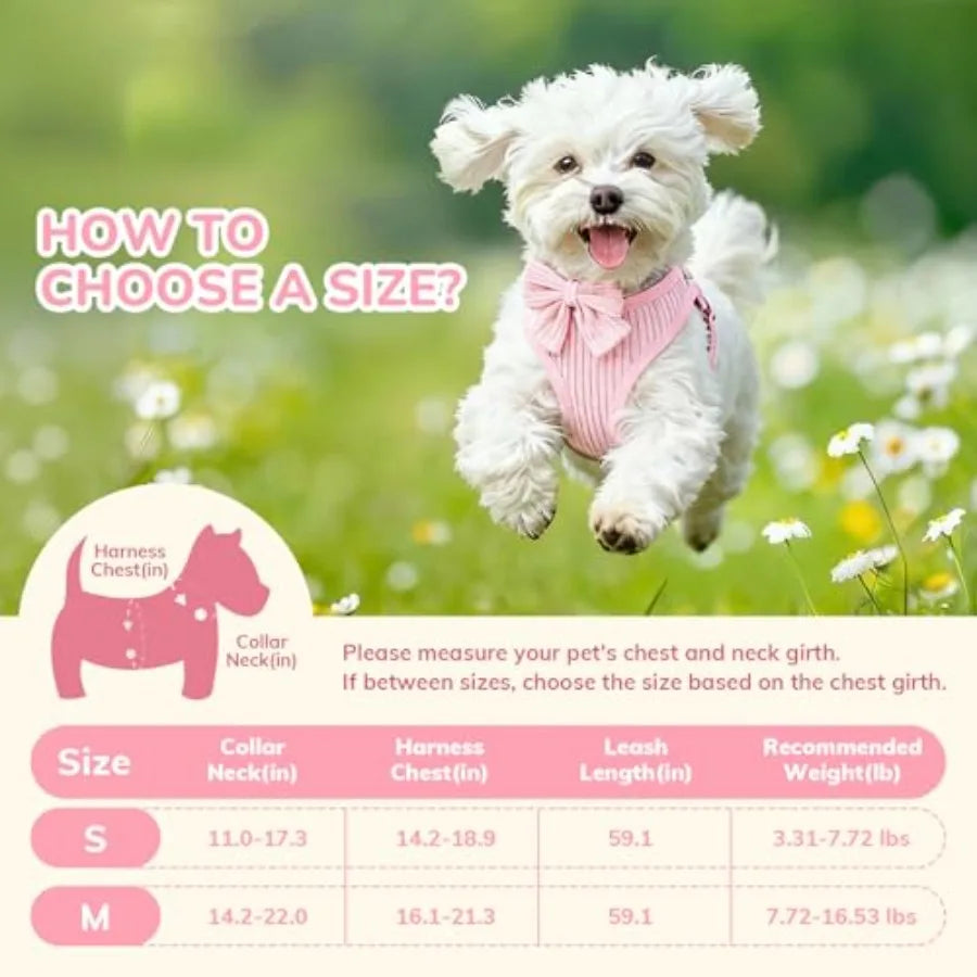 Dog Cotton Breathable Adjustable No Pull Harness And Leash Set For Daily Walks