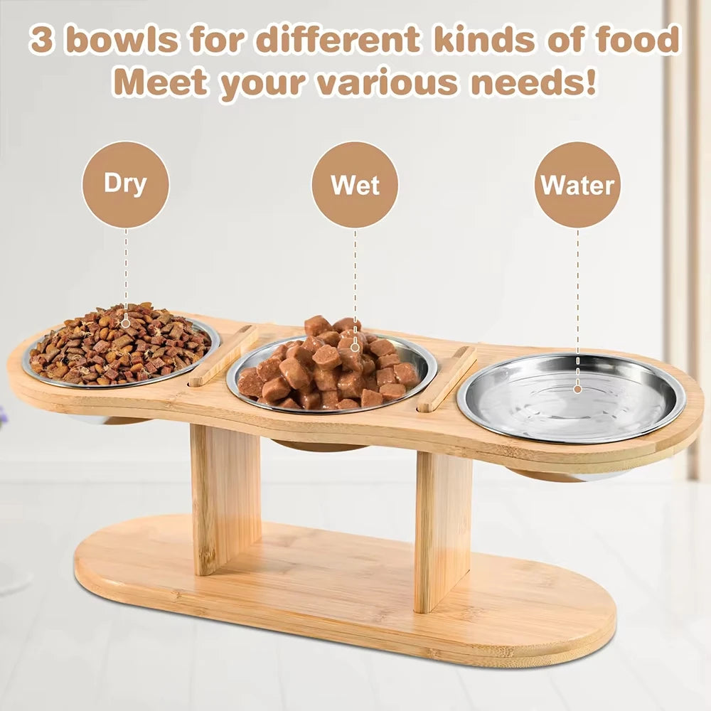 Tilted Raised Cat Feeder with Stainless Steel Bowls and Mat