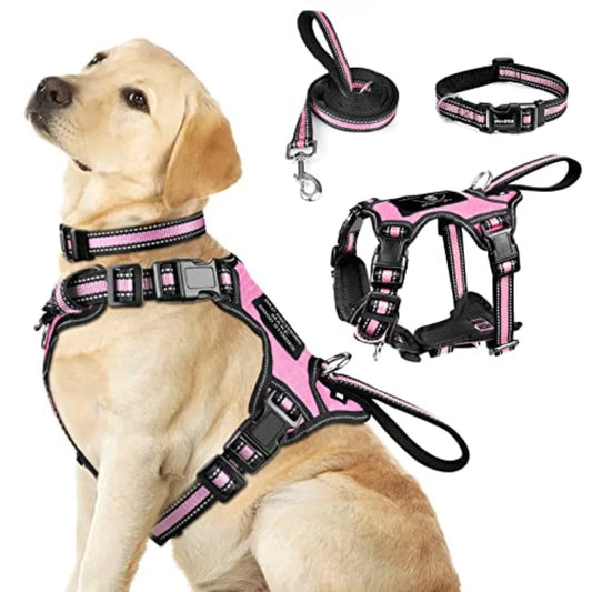 Reflective Nylon Harness Collar And Leash Set For Small Dogs