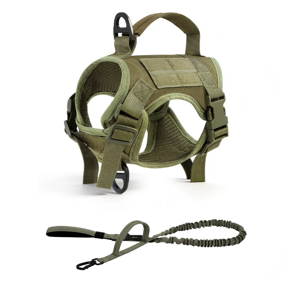 PETRAVEL Adjustable Cat Harness And Leash Set For Outdoor Walking