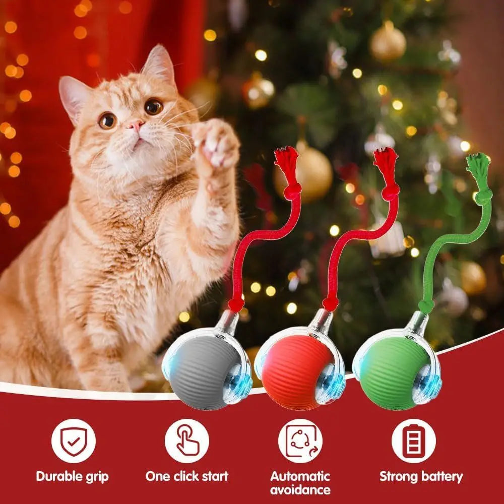 Interactive Cat Toy Rolling Ball for Indoor Cats Kitten Toys
