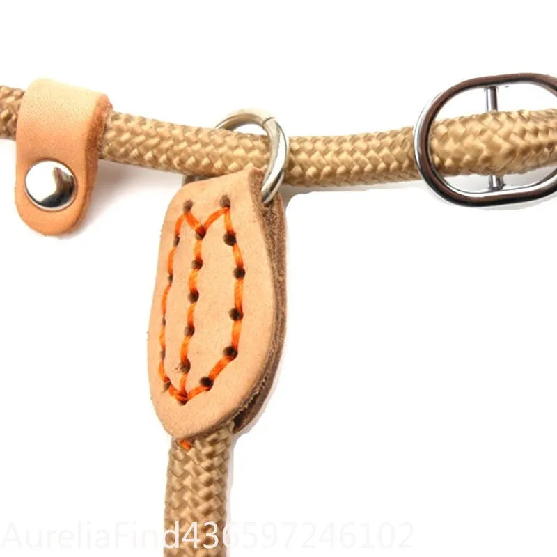 Adjustable Braided Rope Dog Leash For Walking And Training
