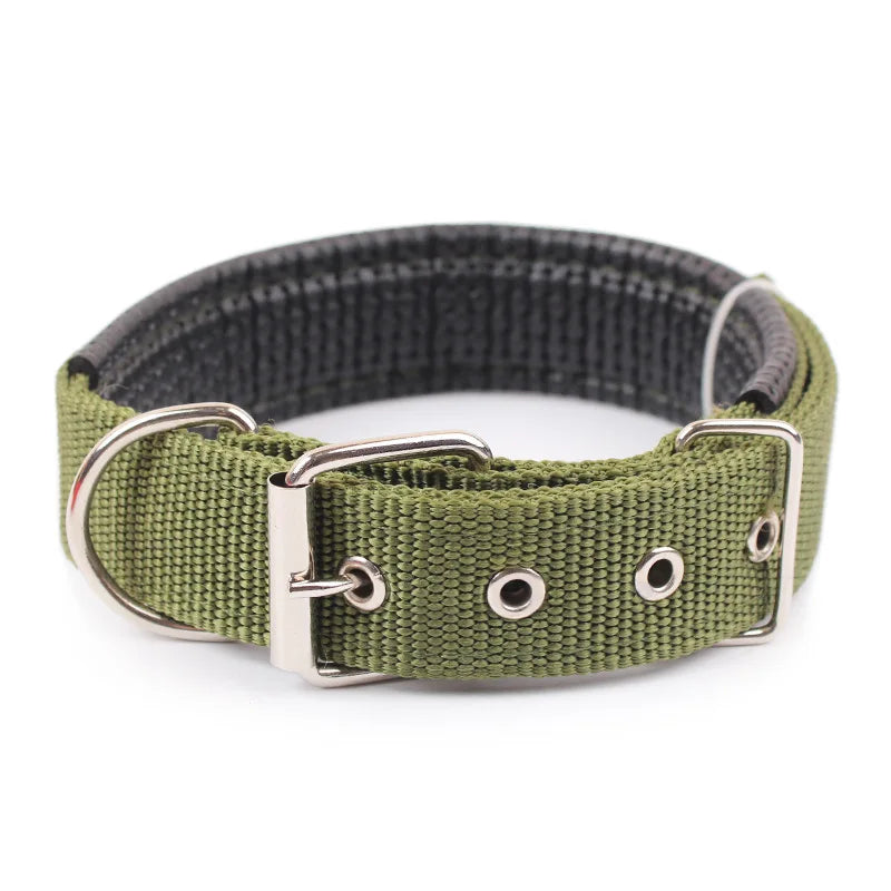 Durable Nylon Dog Collar With Breakaway Safety Feature
