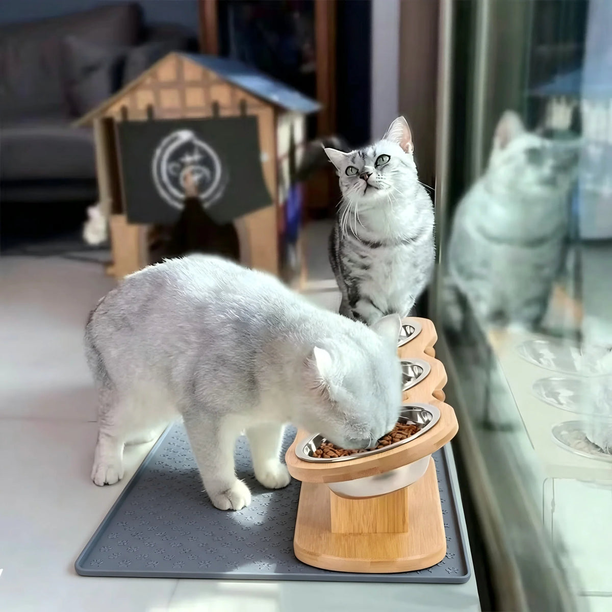 Tilted Raised Cat Feeder with Stainless Steel Bowls and Mat